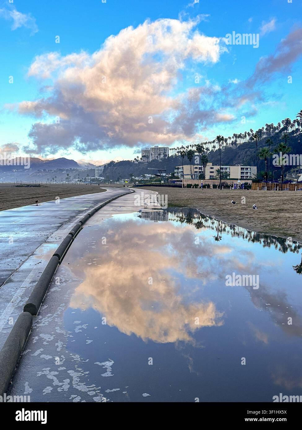 Dramatische Kumuluswolke, die sich in einem überfluteten Strandweg mit Möwen spiegelt, Santa Monica Palisades und Palmen im Hintergrund, Santa Monica Beach Stockfoto