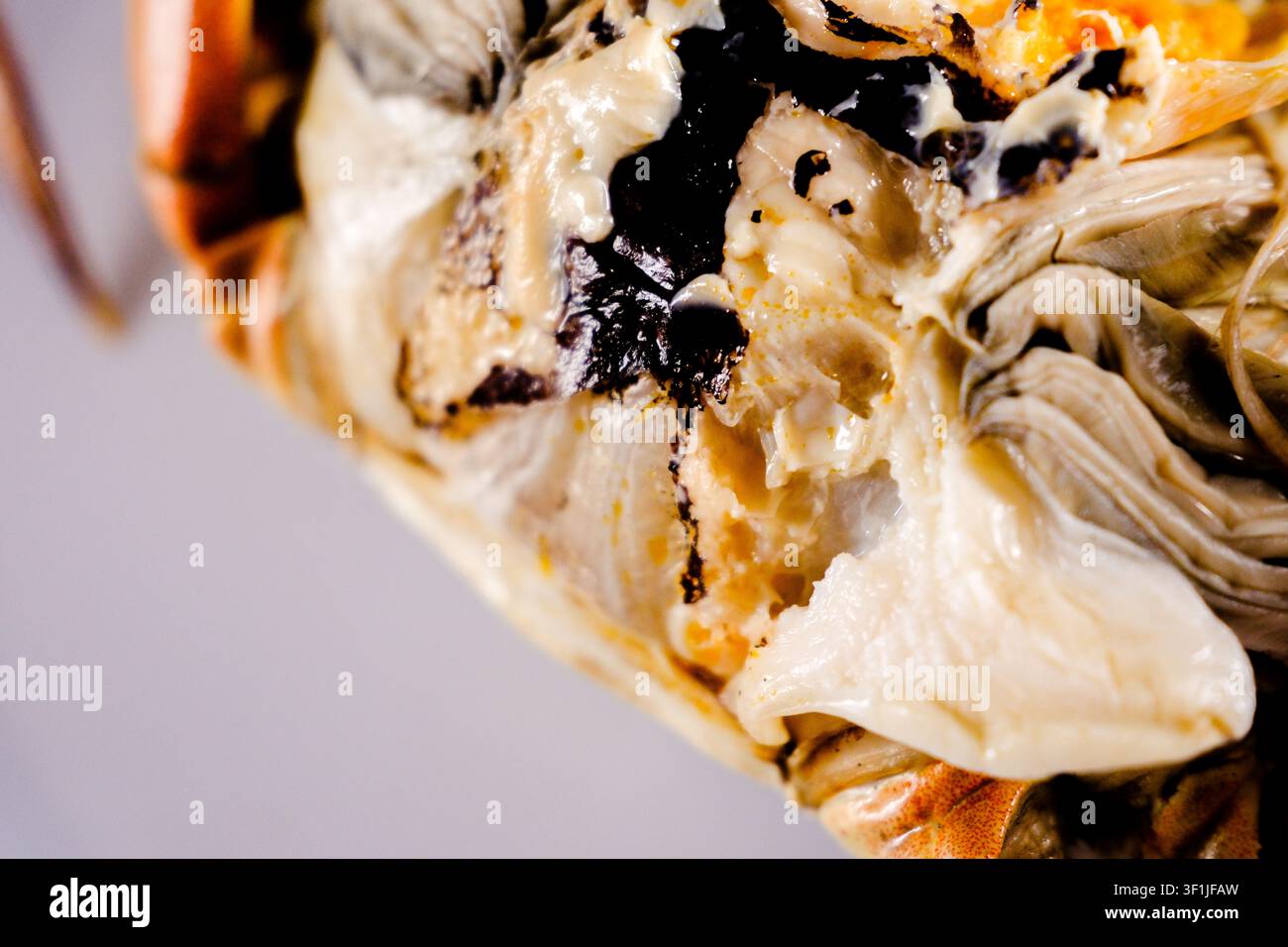 Eine Nahaufnahme des geschälten Krabbenfleisches auf einem sauberen weißen Hintergrund Stockfoto