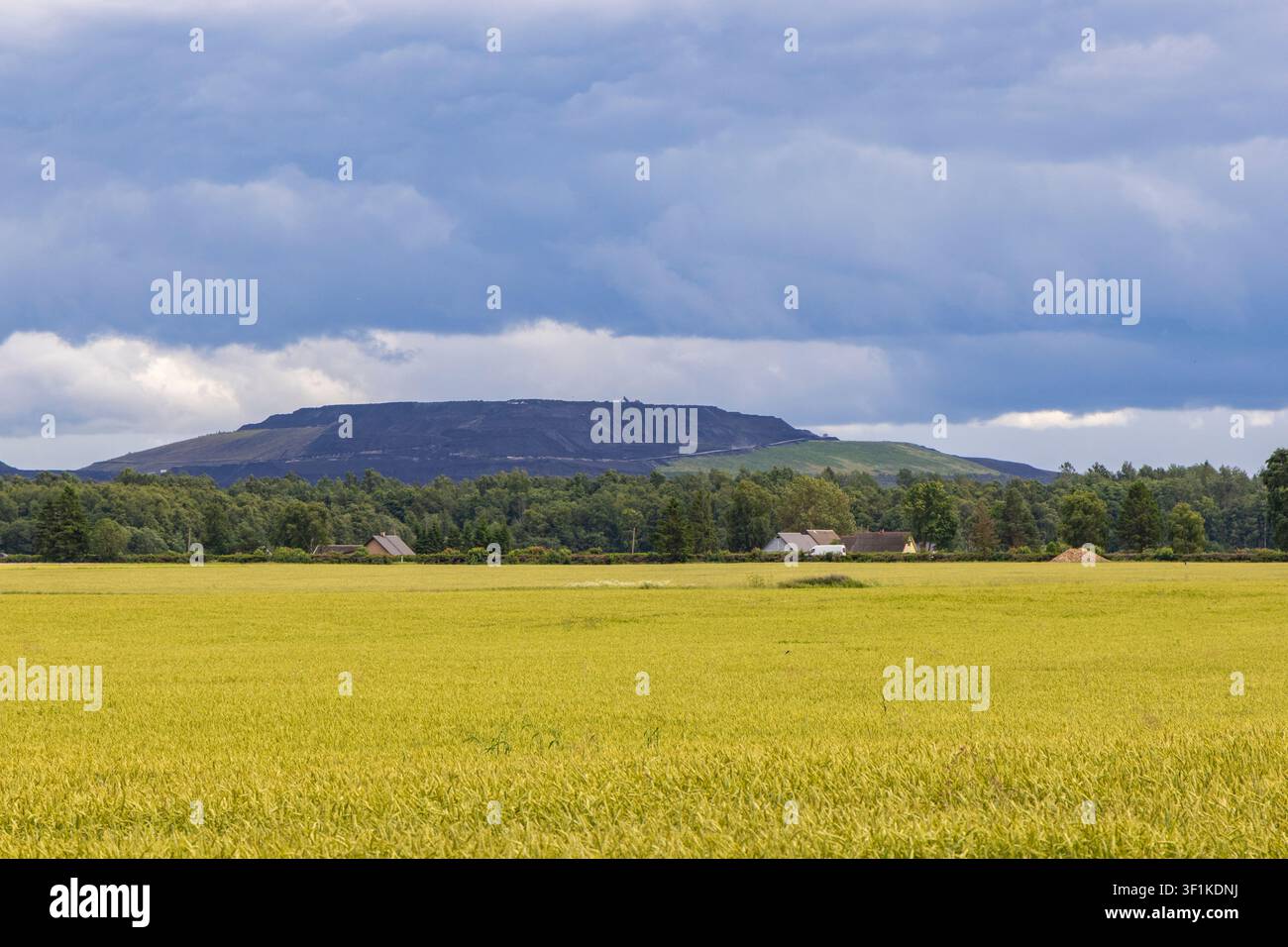 Hügel aus Asche von brennendem Ölschiefer in der östlichen Estland Stockfoto