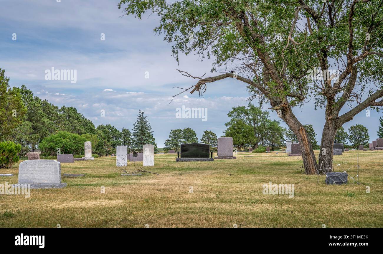 Baum und Grabsteine auf dem ländlichen Gallaway-Friedhof in der Nähe von Meadow, South Dakota, USA Stockfoto