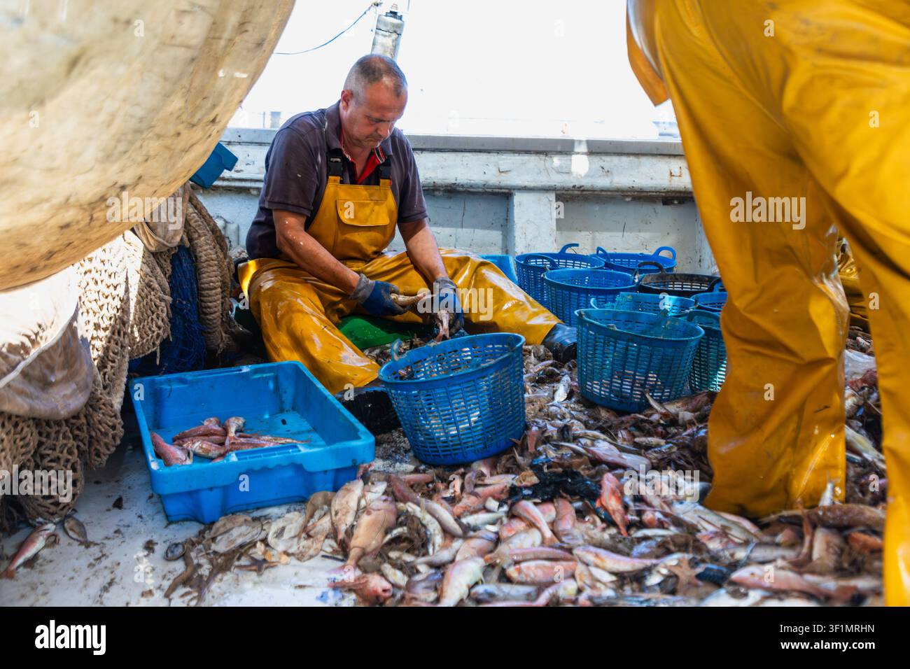 Kommerzieller Fischer in gelben wasserdichten Overalls sortiert und reinigt frisch gefangenen Fisch auf dem Arbeitsdeck eines Bootes, umgeben von Netzen, Körben und Kisten Stockfoto