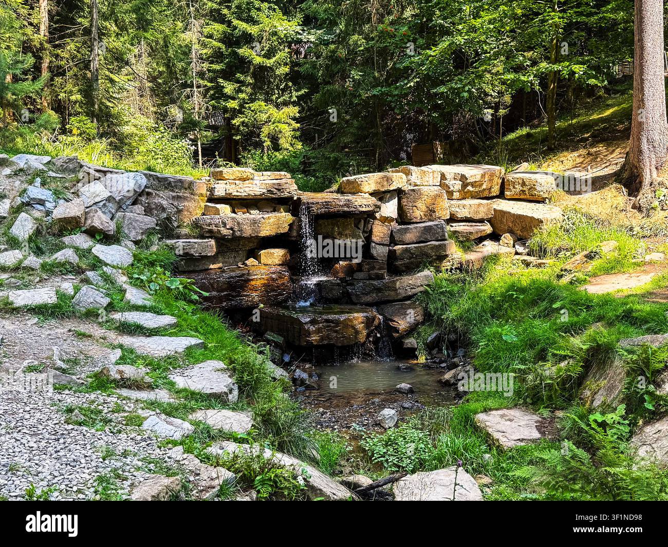 Kleine Steinkaskaden-Wasserfälle in einem üppigen grünen Wald. - Smartphone-aufgenommenes Stockfoto