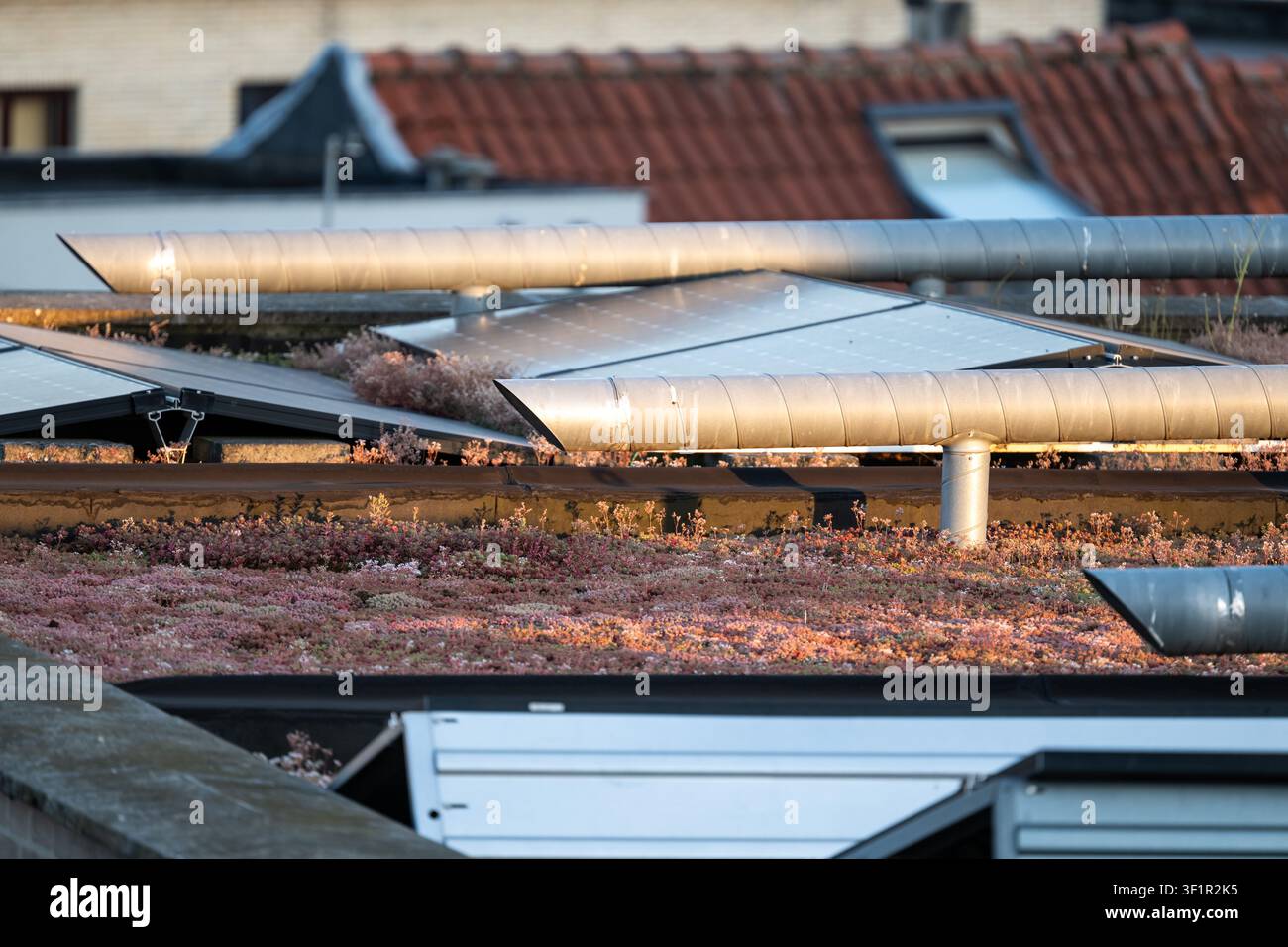 Detail eines modernen Gründachs in Brüssel mit photovoltaischen Solarpanelen und einem zeitgemäßen mechanischen Belüftungssystem. Das Bild veranschaulicht Stockfoto