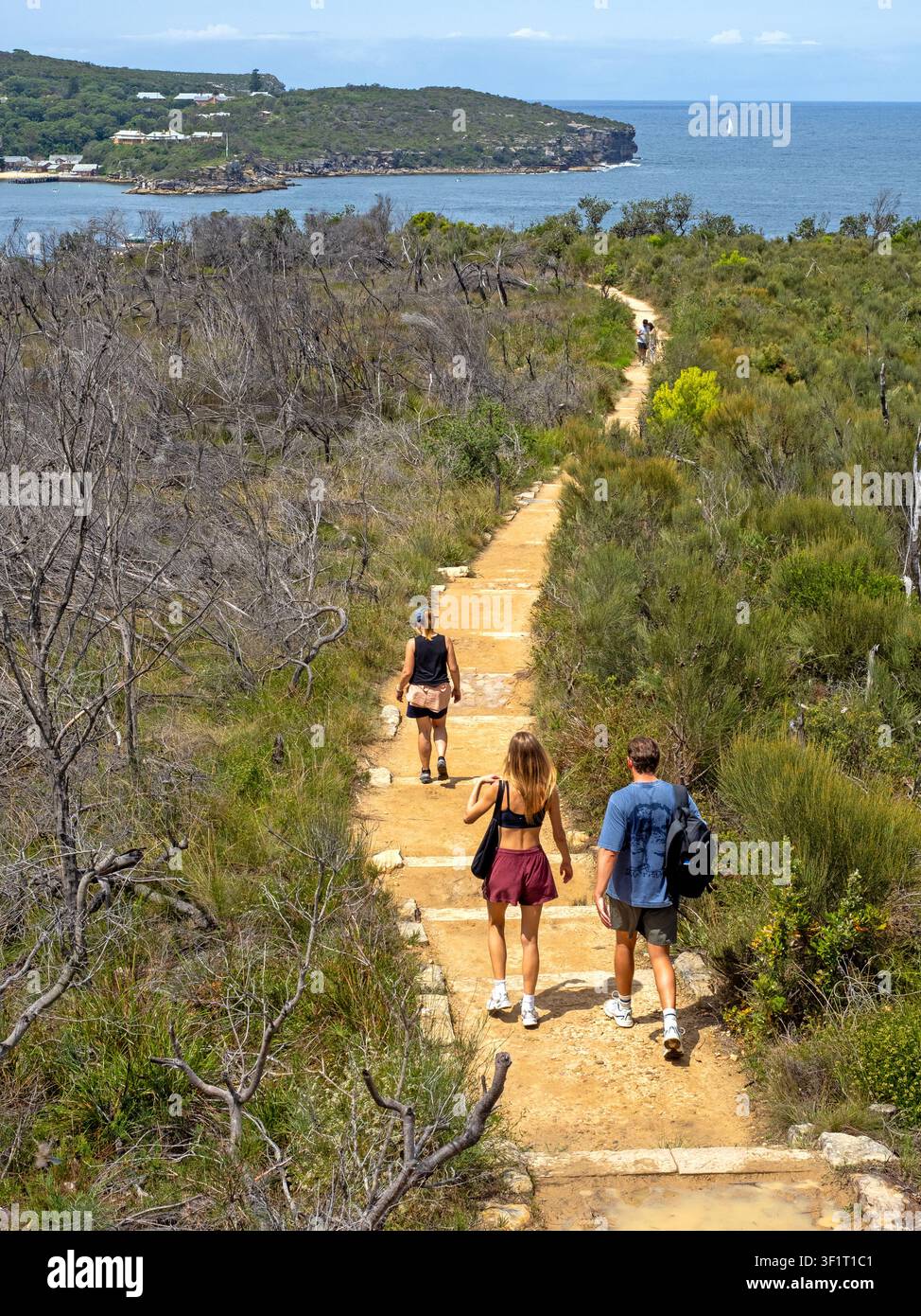 Wandern auf dem Manly Scenic Walkway (Spit Bridge bis Manly Walk) Stockfoto