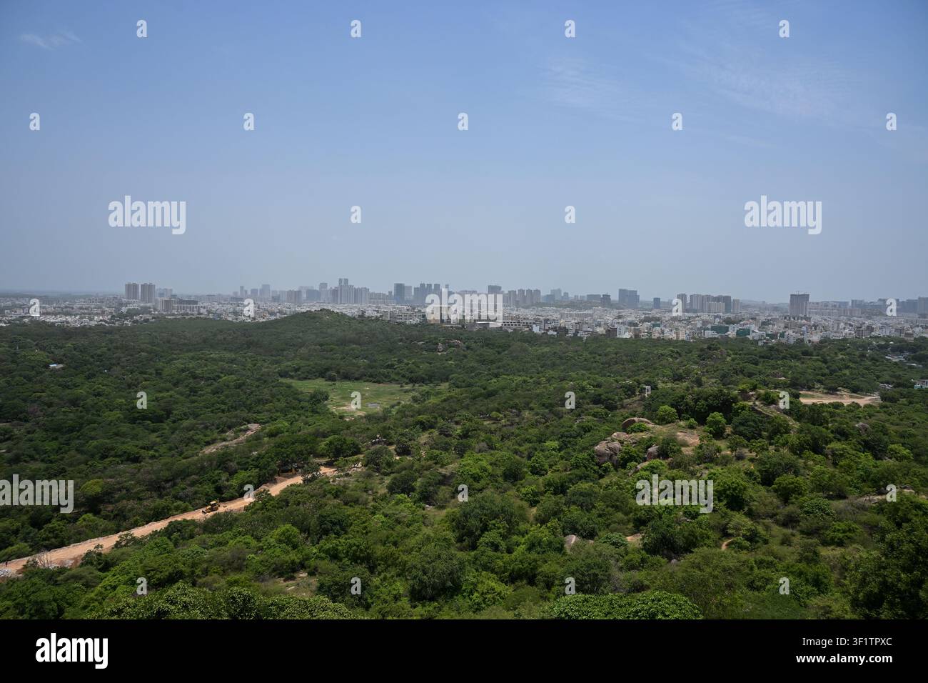 Moderne städtische Skyline erhebt sich über üppige grüne urbane Landschaften Stockfoto