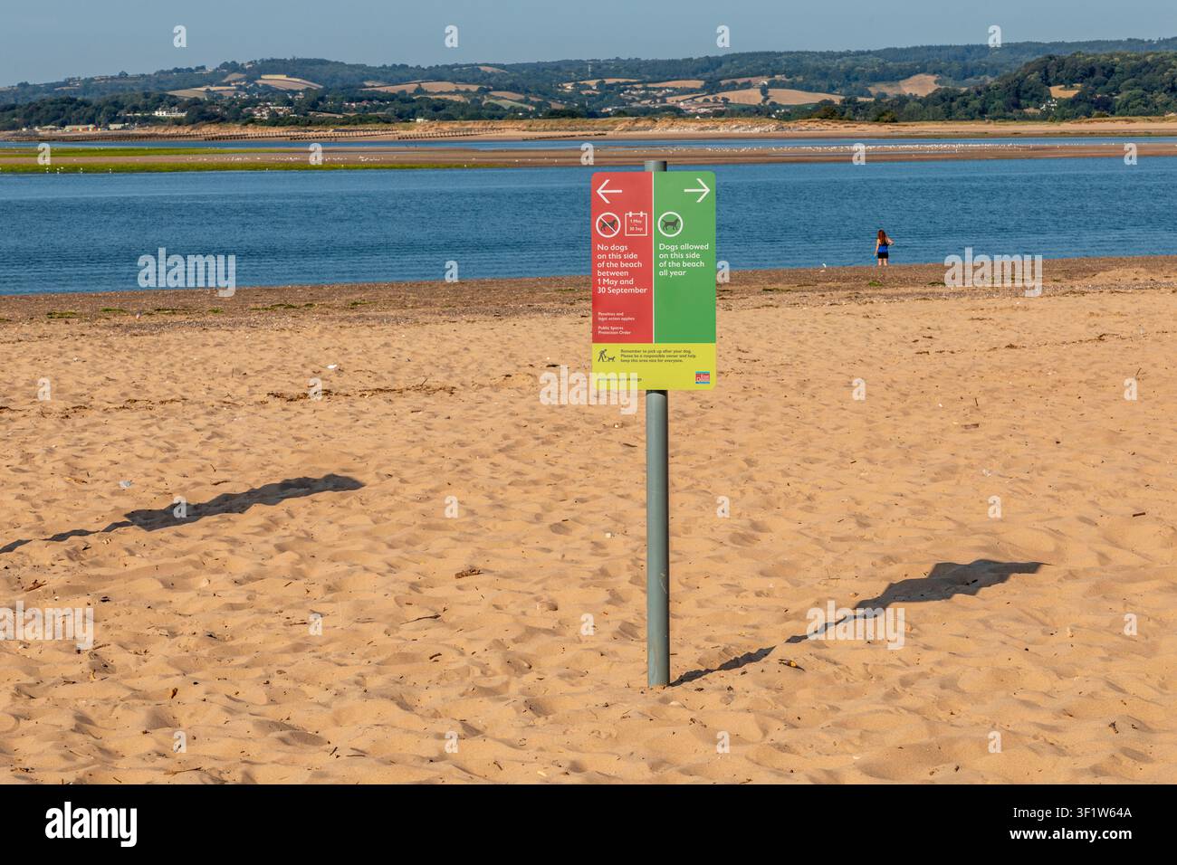 Ein „Keine Hunde erlaubt“-Schild am Exmouth Beach, Devon, UK. Stockfoto