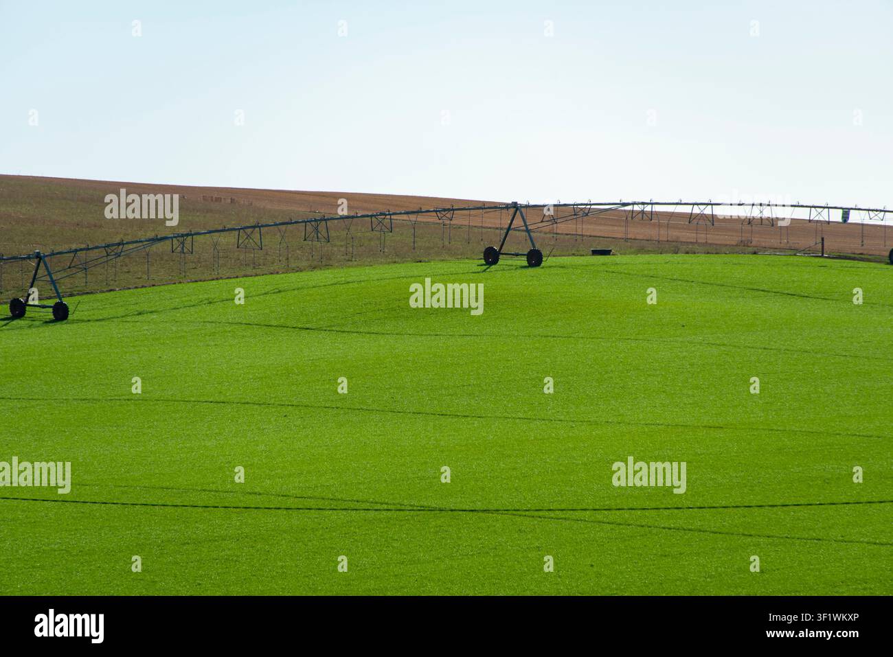 Pivot-Bewässerung auf einer Farm zentrieren Stockfoto