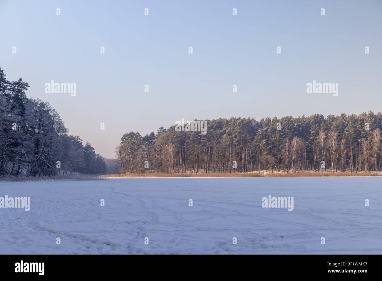 Ein kalter Winterfluss mit einer unebenen Schneemassenstruktur, ein leerer Winterfluss, der von der sanften Sonne beleuchtet wird, vor dem Hintergrund dunkler Stämme eines P Stockfoto