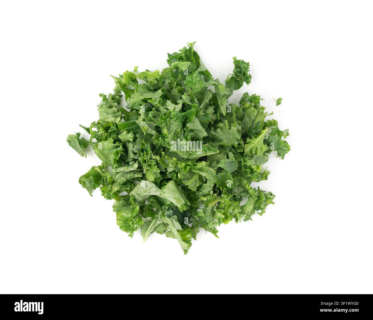 Stücke von Kohlblättern isoliert. Grünes Blatt von krausem Kohl, gekocht für frischen Salat, Kale-Blätter stapeln sich auf weißem Hintergrund, Ansicht von oben Stockfoto