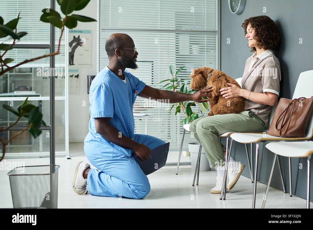 Schwarzer Tierarzt untersucht Hund mit Frau in der Klinik Stockfoto
