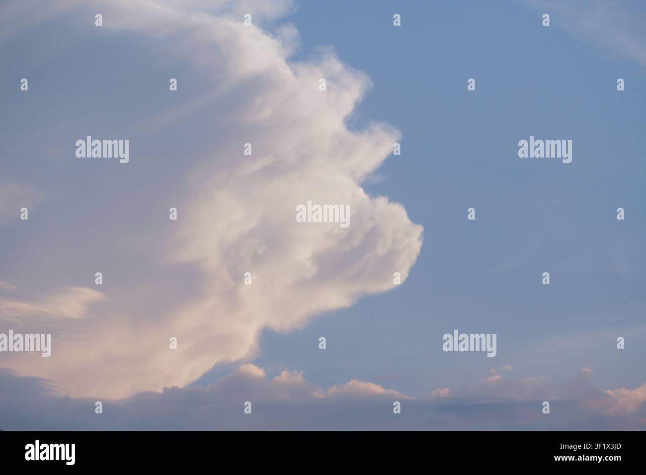 Dynamische Cumulus-congestus-Wolkenbildung mit einer flauschigen, Zuckerwatte-Textur vor einem blauen Himmel. Grafisches Hintergrundbild für digitale Kunst. Stockfoto