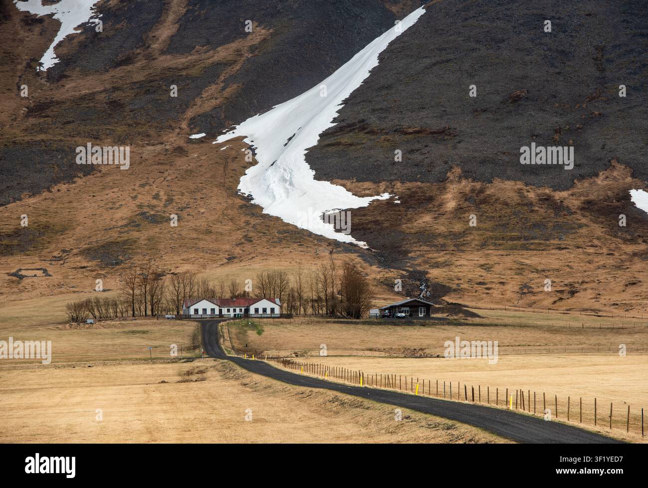 Horizontale Landschaft einer gepflasterten Landstraße mit einem Holzzaun, der sich durch ein trockenes, goldenes Grasfeld zu einem Bauernhaus in Island schlängelt Stockfoto