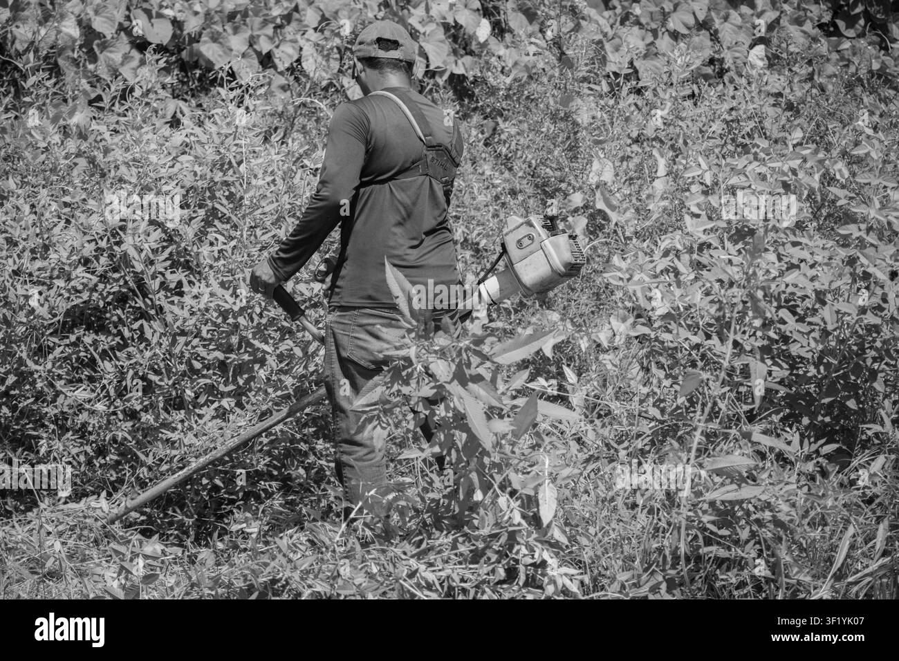 Mann, der mit einer benzinbetriebenen Maschine mitten im Amazonas-Regenwald Gras mäht. Stockfoto