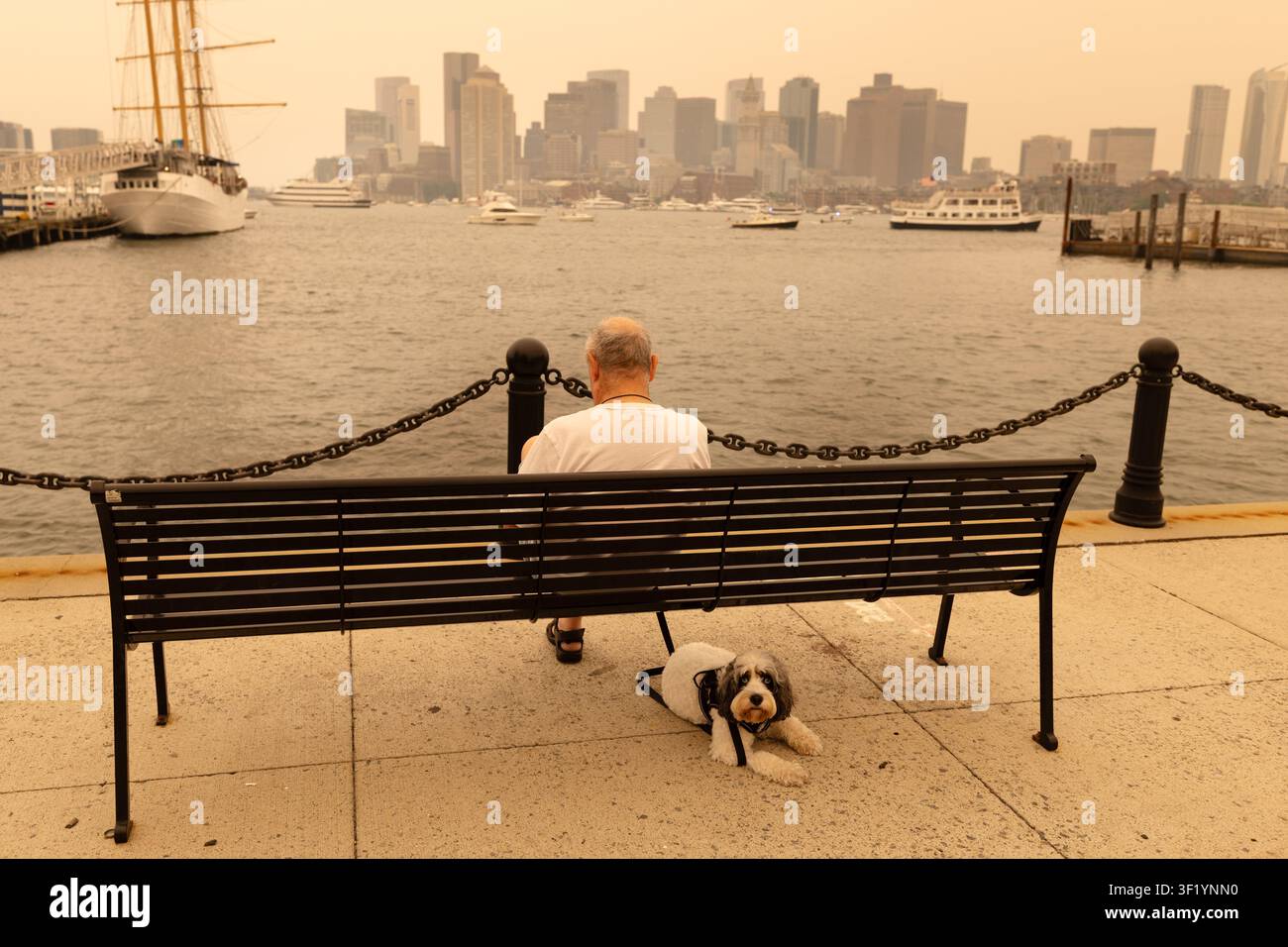 Mann und Hund sitzen am Ufer von East Boston und blicken über den Boston Harbor auf die Innenstadt-Skyline durch orangefarbenen Dunst von kanadischem Waldbrandrauch. Stockfoto