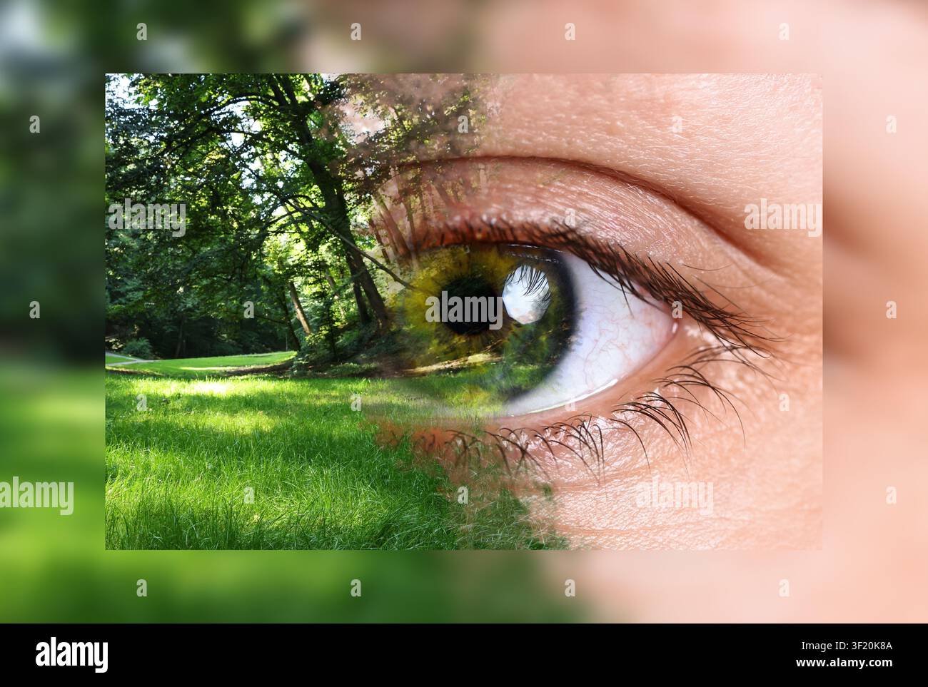 Menschliches Auge und grünes Gras und Bäume, Doppelbelichtung. Collage, die passende Farben zeigt Stockfoto
