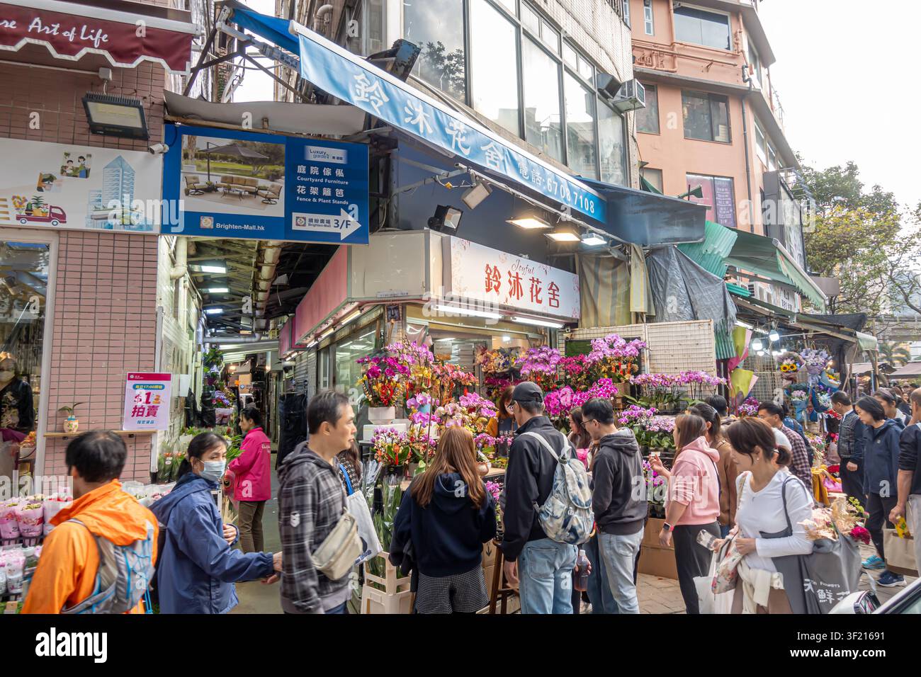 Mong Kok Blumenmarkt in Kowloon, Hongkong, mit zahlreichen Ständen, die mit farbenfrohen Blüten und Käufern überfüllt sind Stockfoto