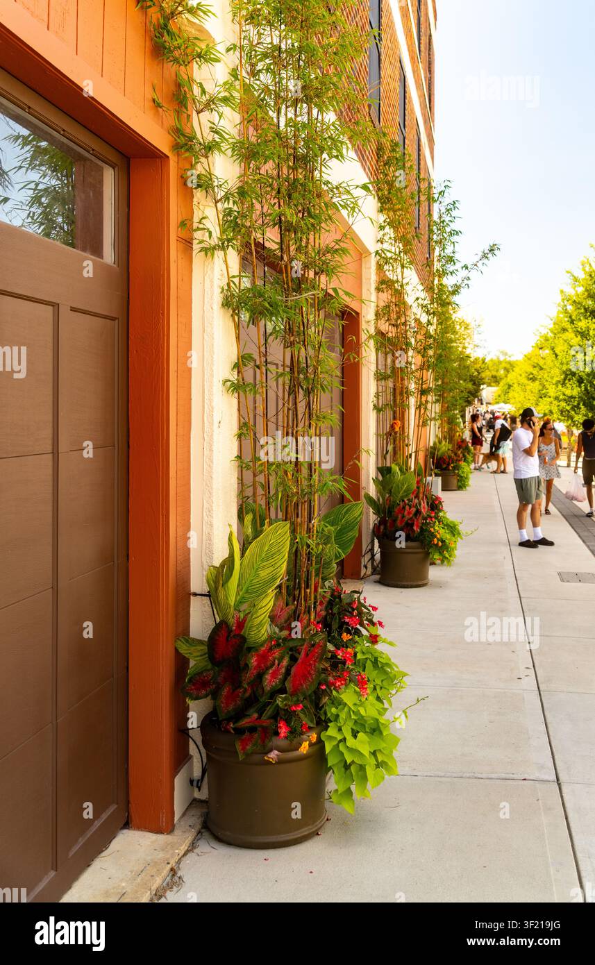 Hoher Bambus und lebhafte Topfpflanzen schmücken ein farbenfrohes Schaufenster entlang eines sonnigen städtischen Gehwegs, an dem Fußgänger vorbeischlendern. Stockfoto