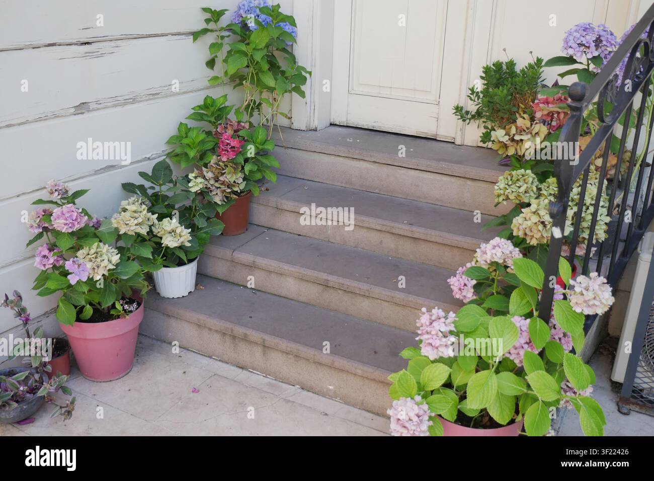 Pflanzen auf der treppe -Fotos und -Bildmaterial in hoher Auflösung – Alamy