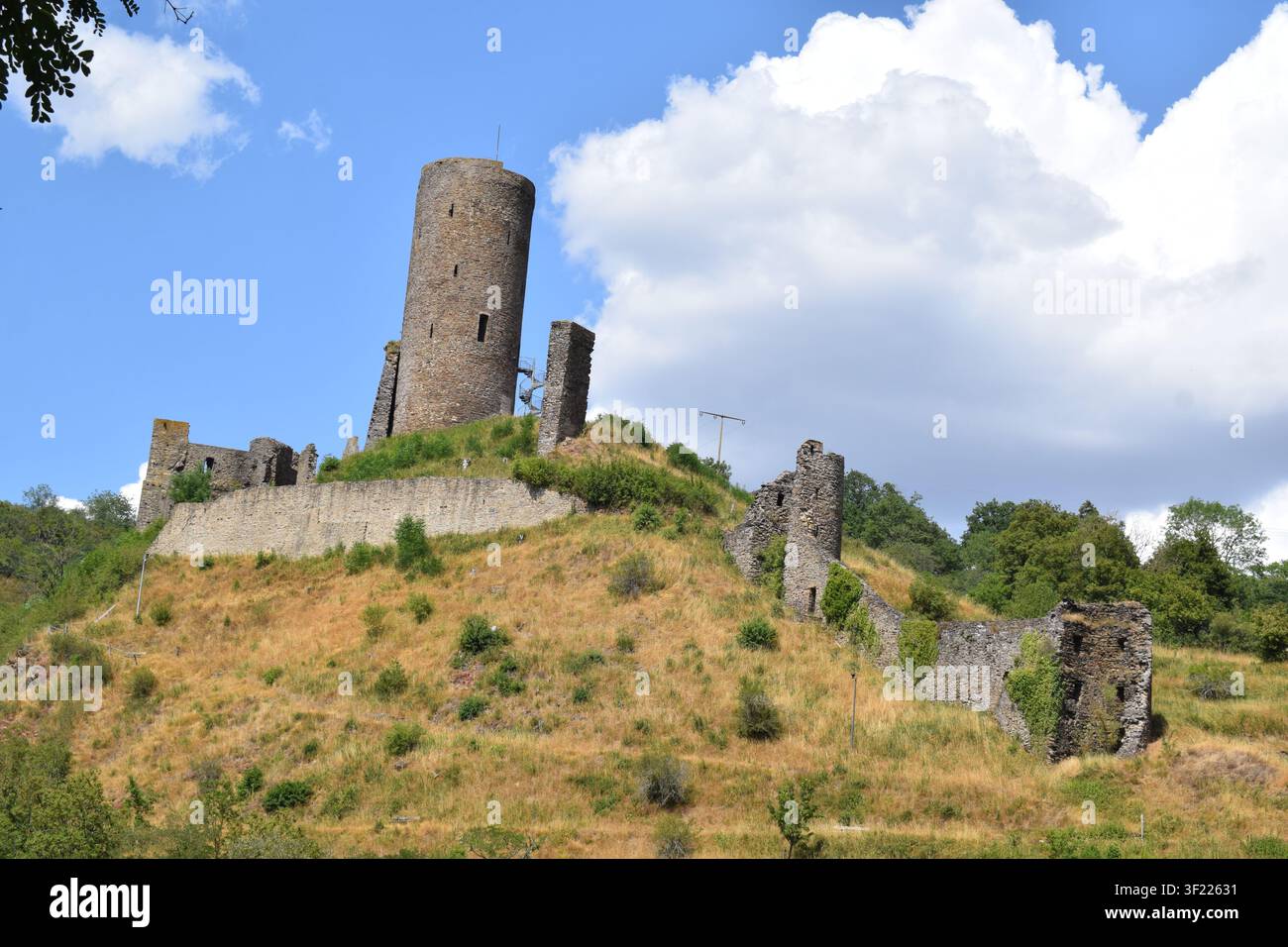 Löwenburg über Monreal in der Eifel im Sommer Stockfoto
