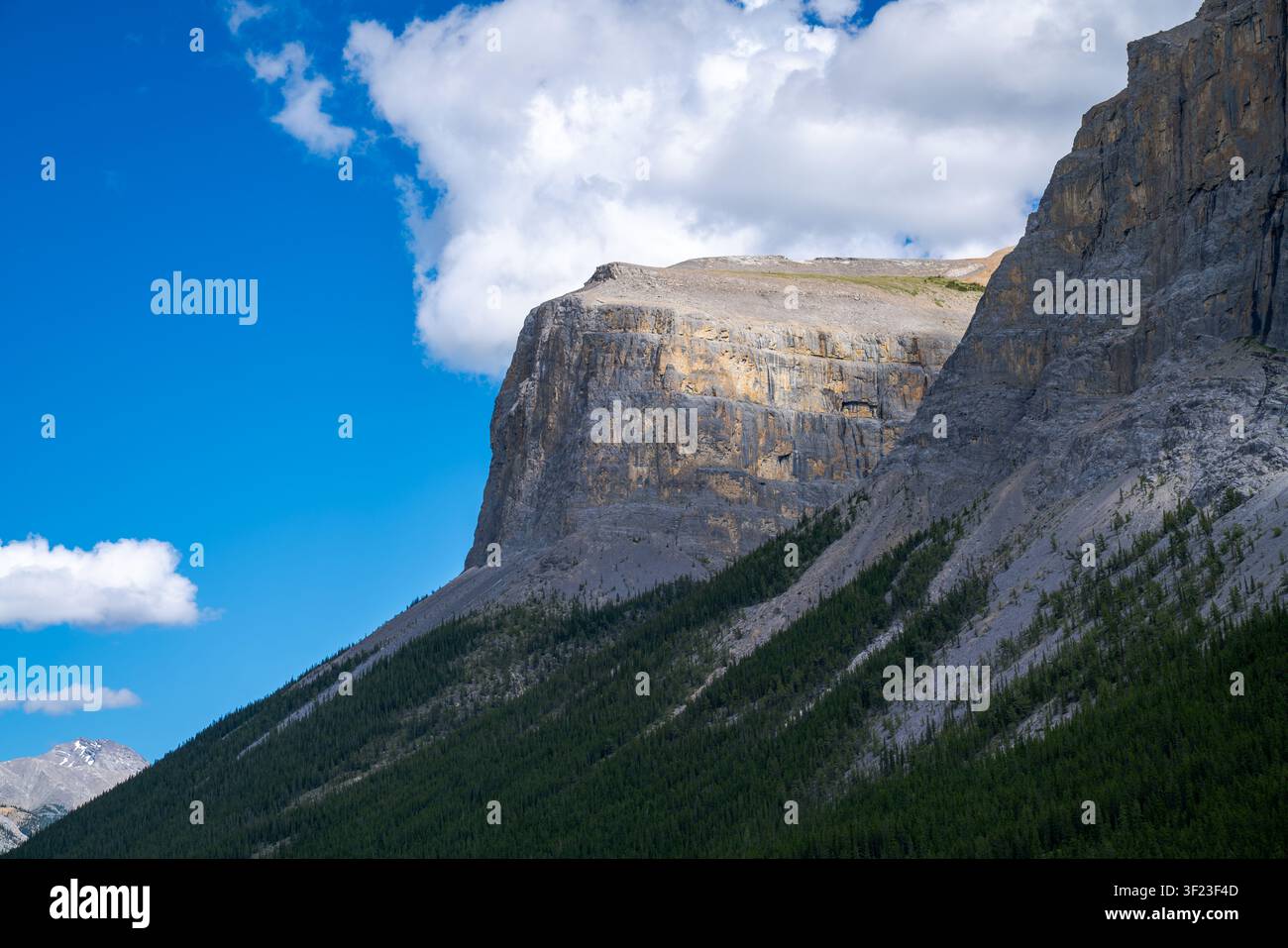Massive Kalksteinklippe mit Blick auf immergrüne Wälder entlang der Uferlinie des Lake Minnewanka im Banff-Nationalpark, Alberta, Kanada. Stockfoto