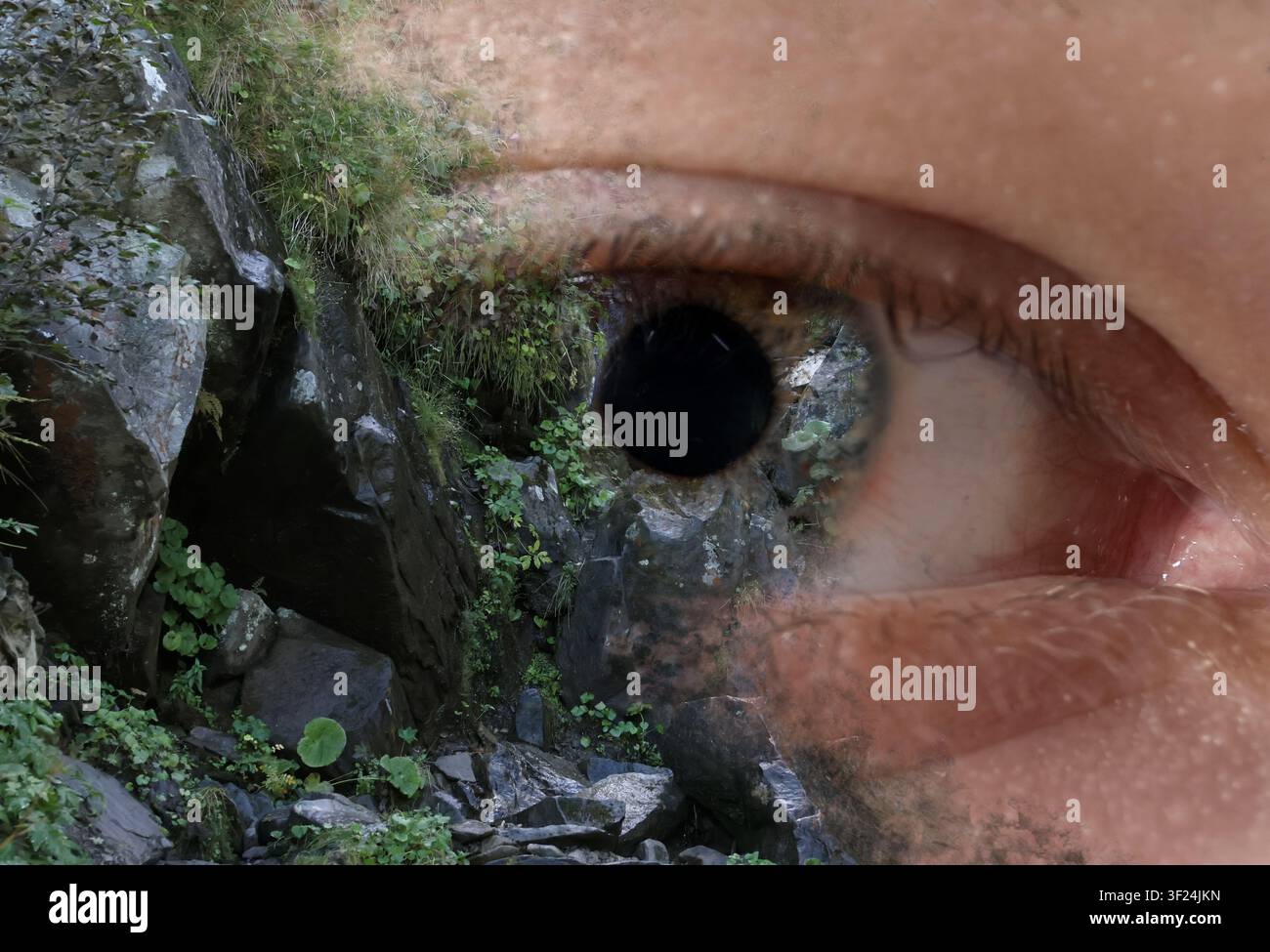 Menschliches Auge und Felsen mit Grünpflanzen, Doppelbelichtung. Collage, die passende Farben zeigt Stockfoto
