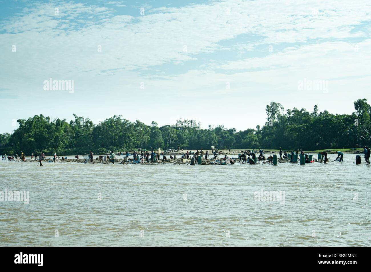 Eine große Gruppe von Menschen, die in flachem, schlammigem Flusswasser in der Nähe eines bewaldeten Ufers unter einem teilweise bewölkten Himmel watet und schwimmt. Stockfoto