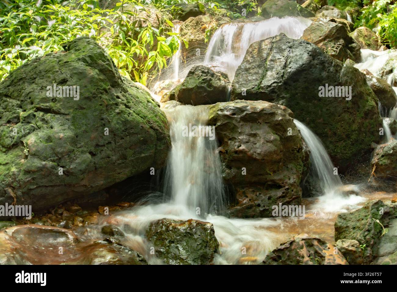 Ein kleiner Wasserfall stürzt über moosbedeckte Felsen in einer üppigen, grünen Waldlandschaft. Stockfoto