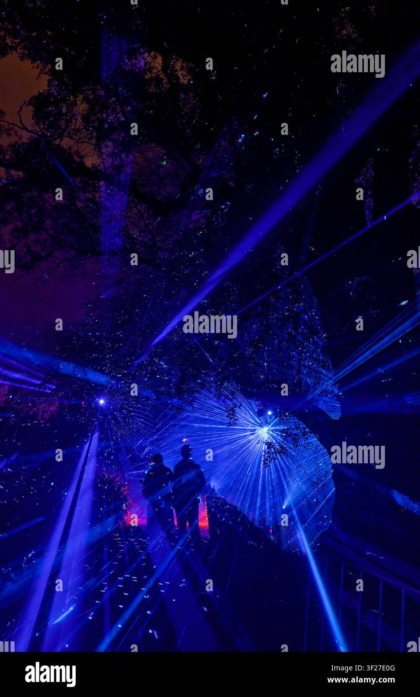 Blaue Strahlen von Laserlicht, die in die Menge strahlen, bei der Eclipse in Bloom Lichtshow im Geelong Botanic Gardens, Victoria, Australien Stockfoto