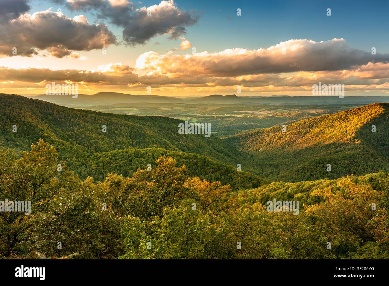Baumbedeckte Hügel der Blue Ridge Mountains in North Carolina USA Stockfoto