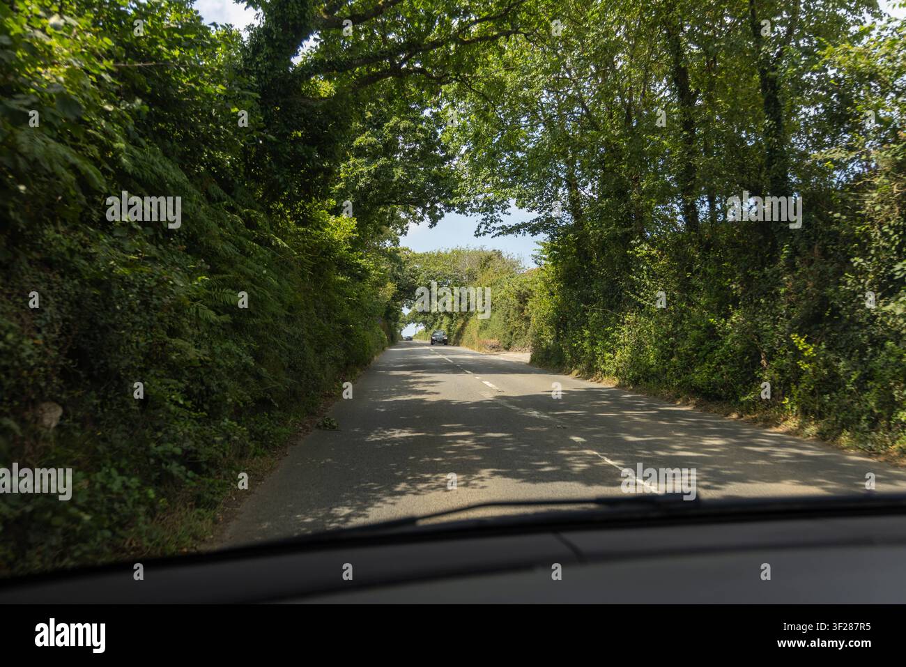 Cornwall 2026 bei Charlestown, England – 16.7.2026: Fernstraße mit Allee in Cornwall, England Stockfoto