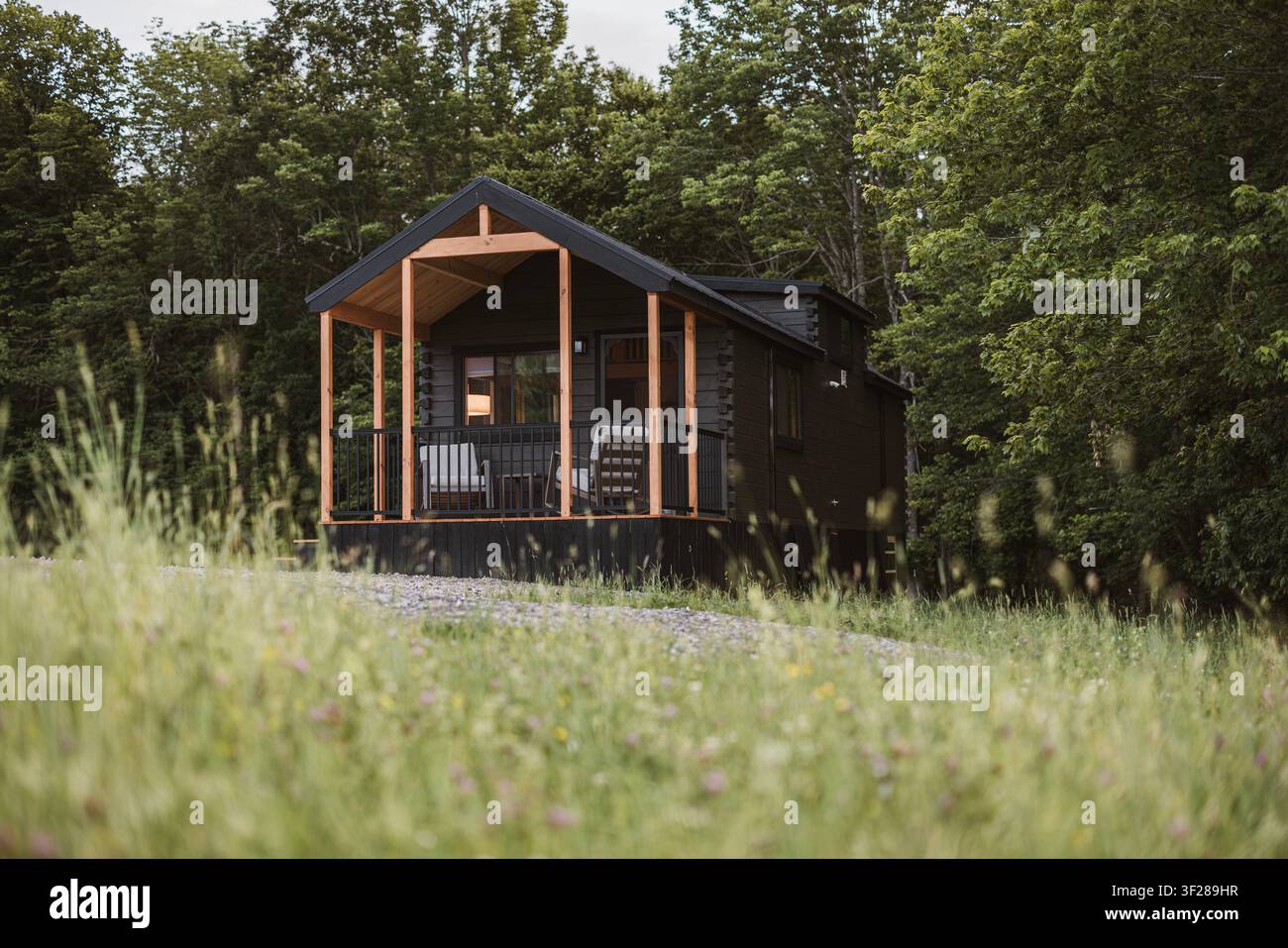 Moderne schwarze Blockhütte, eingebettet in einem üppigen grünen Wald Stockfoto