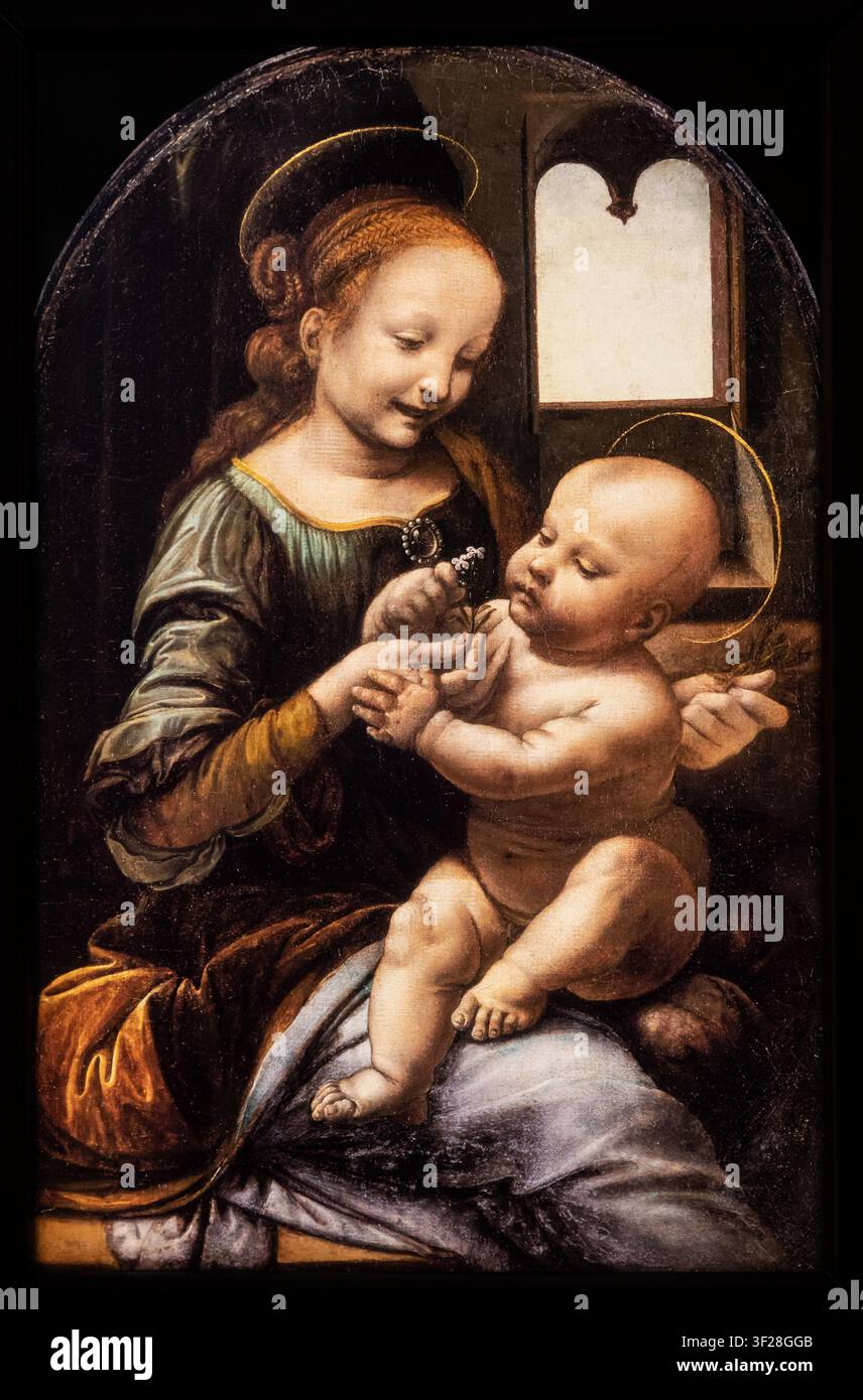 SANKT PETERSBURG, RUSSLAND - MÄRZ 2026: Leonardo da Vinci Gemälde Madonna Benois, 1480. Öl auf Holz, übertragen auf Leinwand, 48 x 31 cm. Eremitage-Museum. Stockfoto