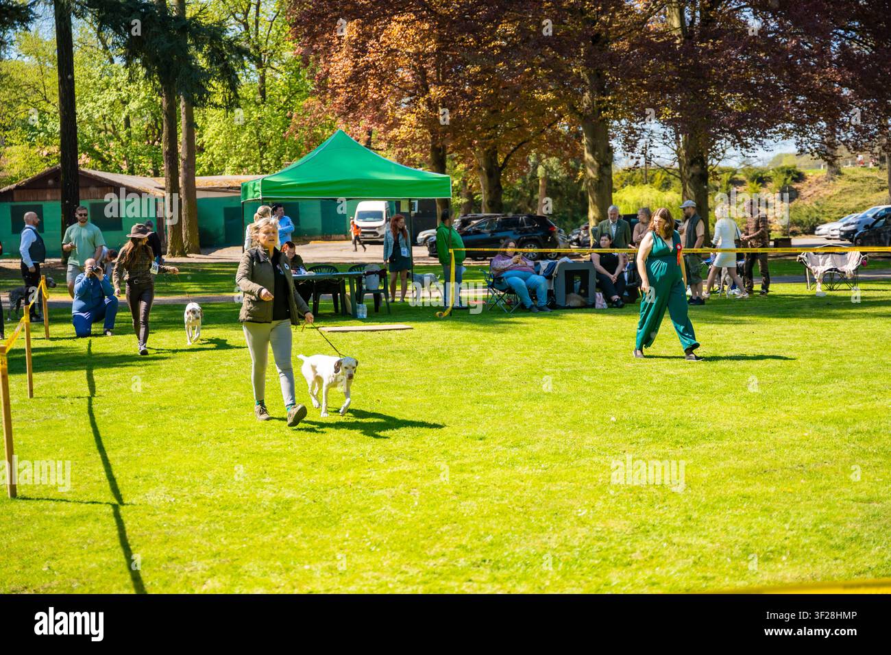Konopiste, Tschechische Republik – 1. Mai 2025: Teilnehmer präsentieren Hunde während einer Hundeshow im Freien auf dem Gelände des Schlosses Konopiste. Hunde Stockfoto