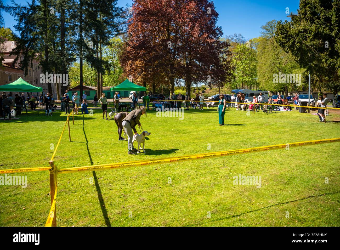 Konopiste, Tschechische Republik – 1. Mai 2025: Teilnehmer präsentieren Hunde während einer Hundeshow im Freien auf dem Gelände des Schlosses Konopiste. Hunde Stockfoto