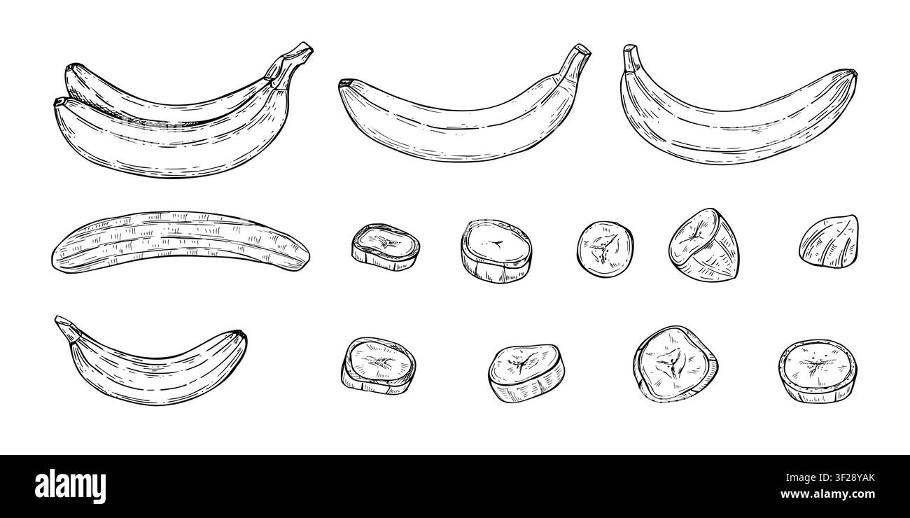 Handgezeichnetes Bananenfrucht-Set, Linienkunst, Schwarzstiftskizze. Ganze Schale, geschälte Frucht und runde Scheiben, lineare Zeichnung. Monochrom-Ink-Illustration Stock Vektor