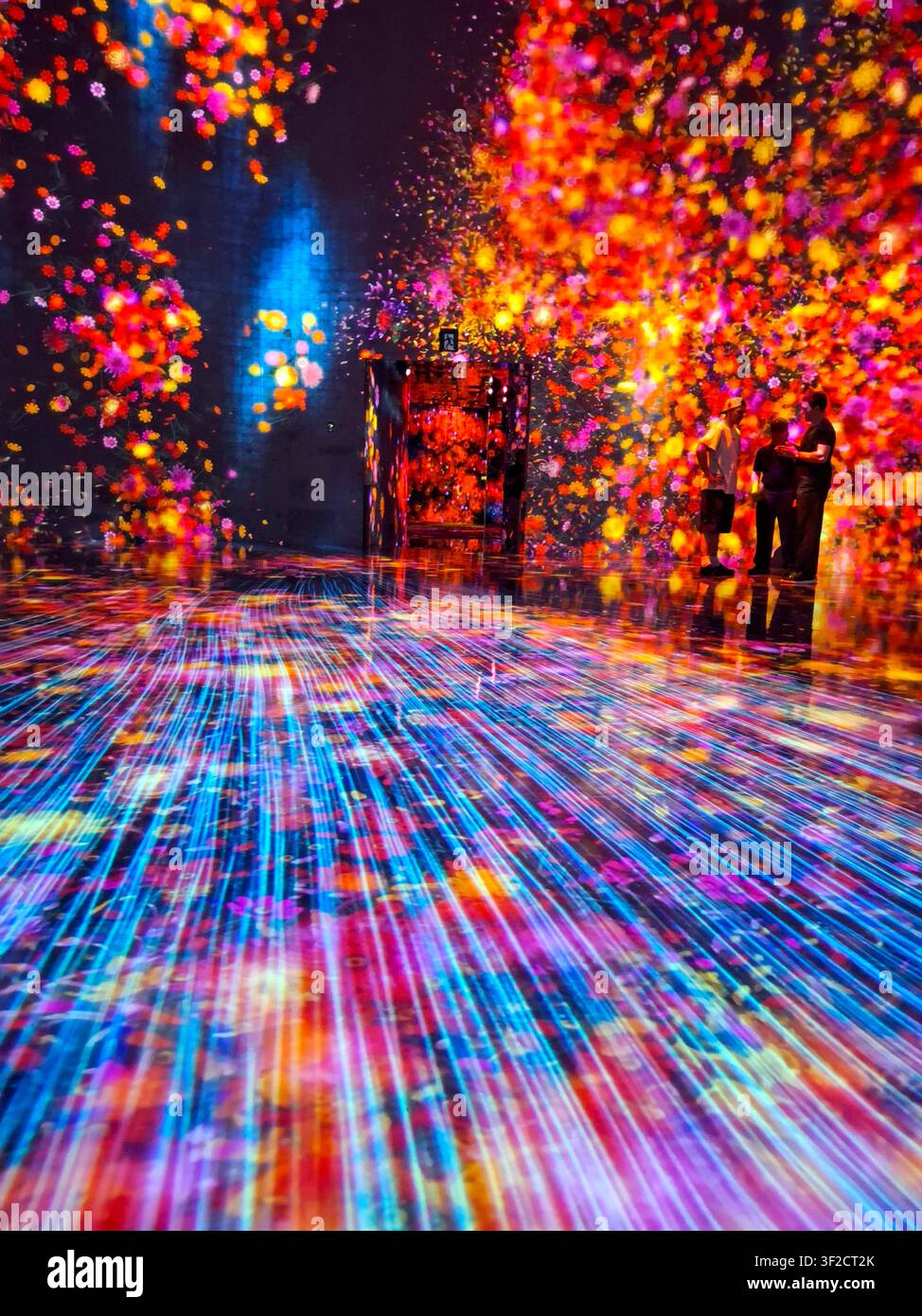 Immersives digitales Kunsterlebnis bei teamLab Borderless in Tokio Stockfoto