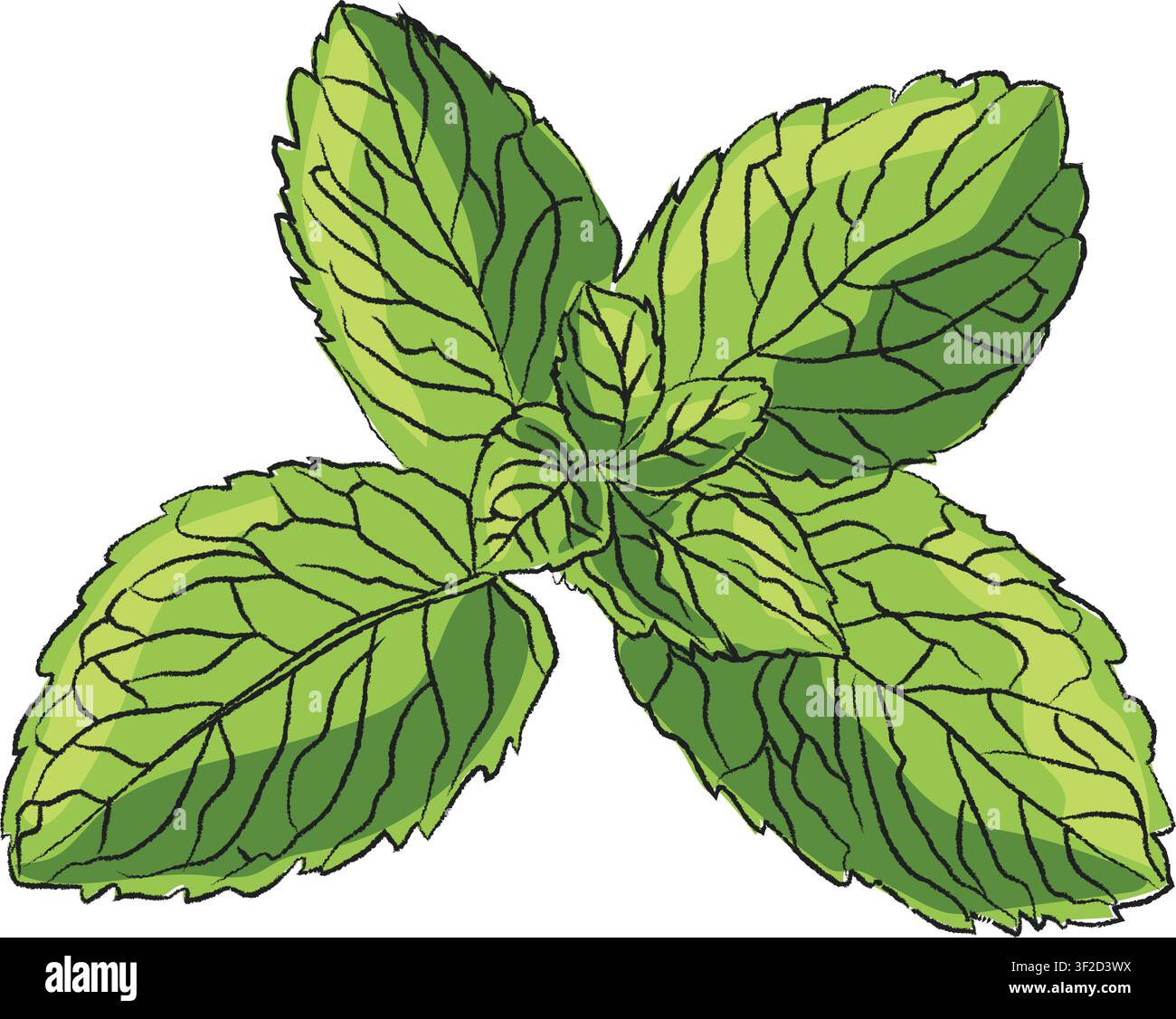 Vektorpfefferminzblätter-Vektordesign, 2D-flache Vektor-Birnenillustration, Symbol isoliert auf weißem Hintergrund. Minzblatt-Aufkleber-Symbol im flachen Stil Stock Vektor