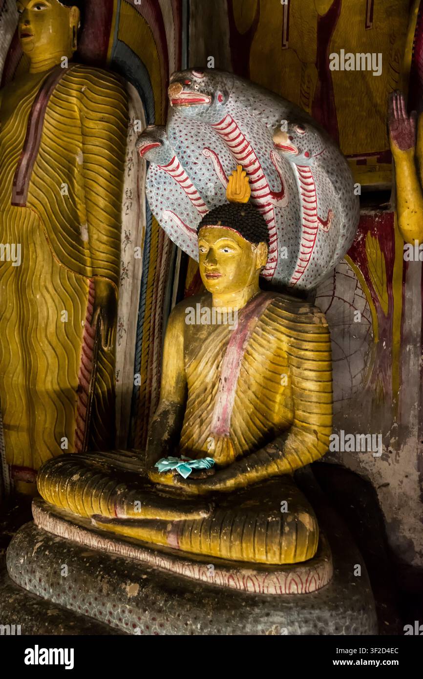 Alte goldene Buddha-Statue, geschützt von Naga in einem heiligen Höhlentempel in Sri Lanka Stockfoto