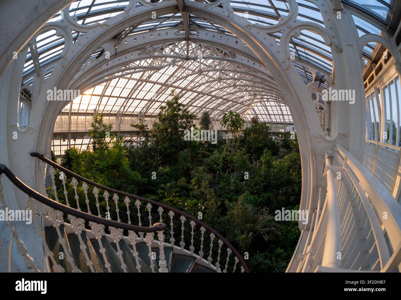 Gemäßigtes Haus mit seltenen und bedrohten Pflanzen im größten viktorianischen Gewächshaus der Welt. Royal Botanic Gardens, Kew. Stockfoto
