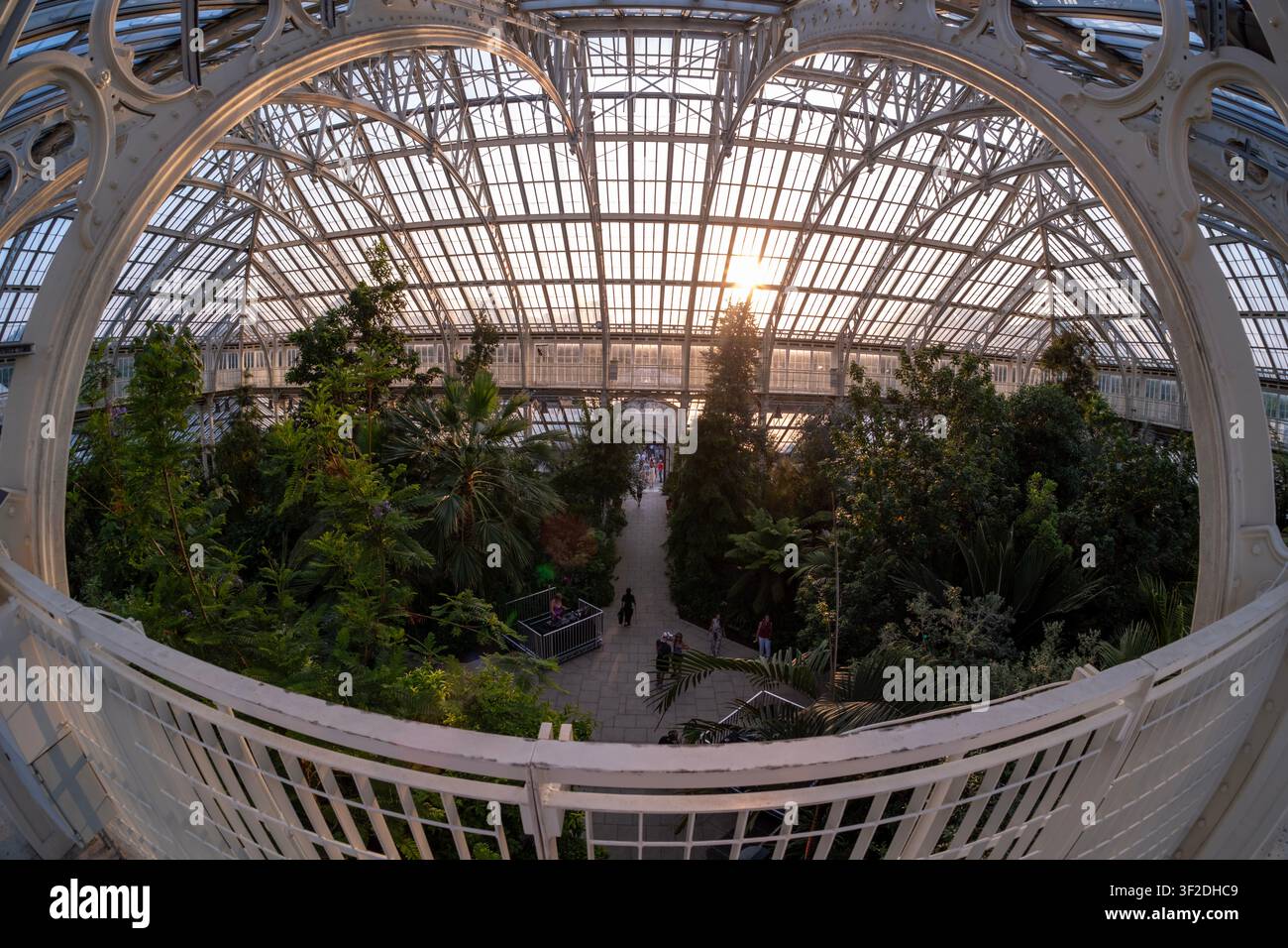 Gemäßigtes Haus mit seltenen und bedrohten Pflanzen im größten viktorianischen Gewächshaus der Welt. Royal Botanic Gardens, Kew. Stockfoto