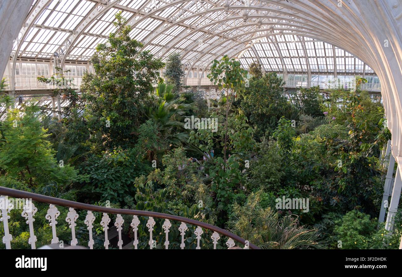 Gemäßigtes Haus mit seltenen und bedrohten Pflanzen im größten viktorianischen Gewächshaus der Welt. Royal Botanic Gardens, Kew. Stockfoto