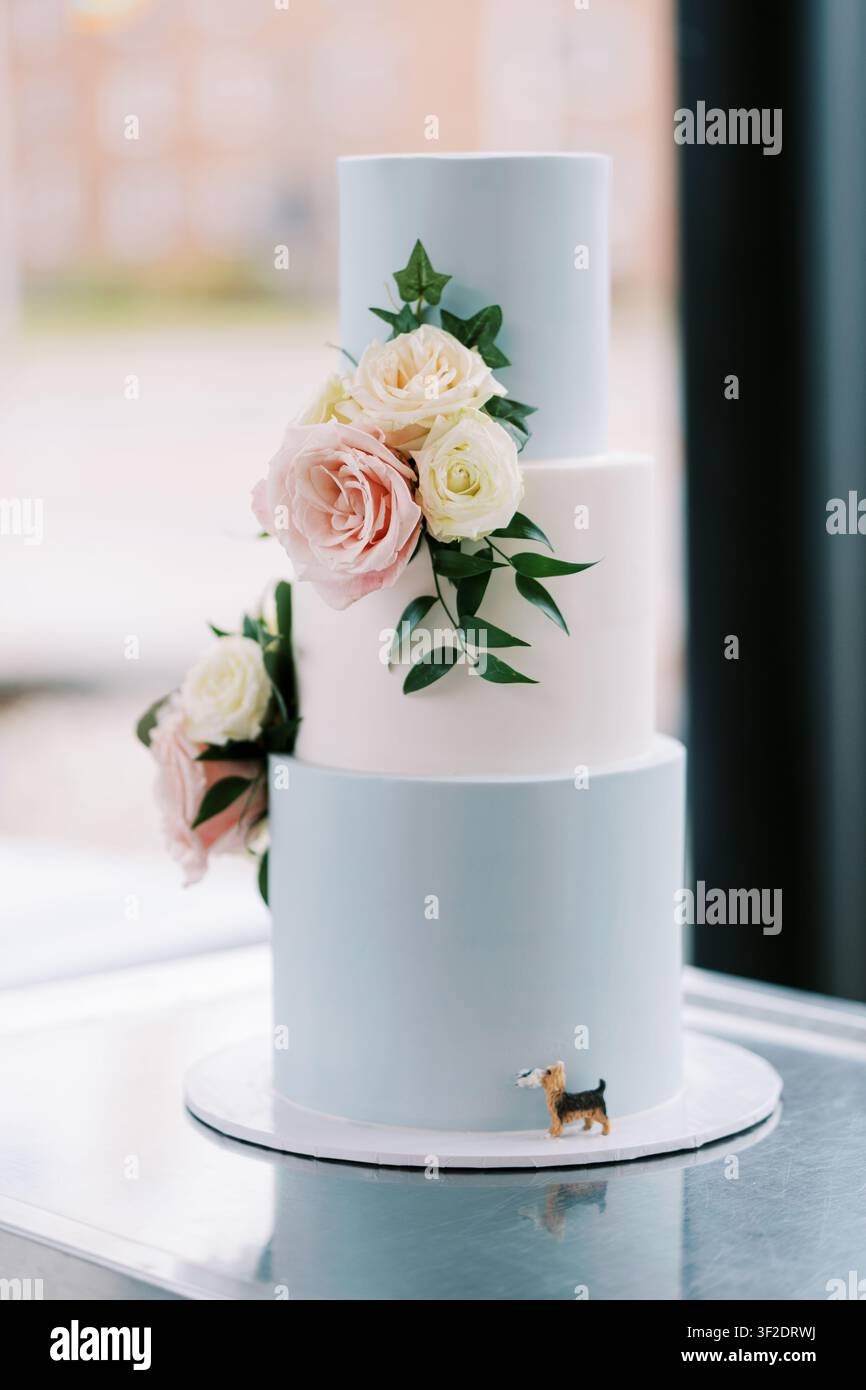 Eleganter dreistöckiger Hochzeitstorte mit Rosen und Hundefigur Stockfoto