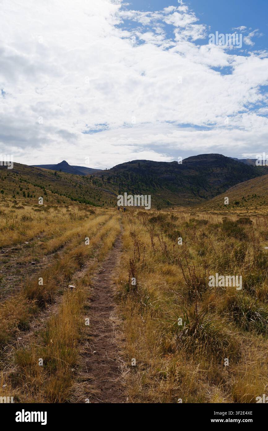 Feuerstraße der Sierra de la Ventana-Bergkette, die durch trockenes Grasland in das Gebirge führt Stockfoto