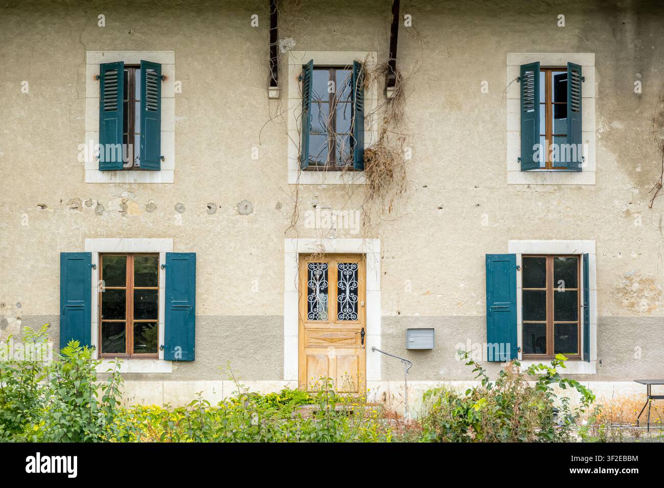 Verwitterte rustikale Hausfassade mit blaugrünen Fensterläden und einer Holztür, symmetrische Fenster, abblätternder Putz und Kletterpflanzen, umgeben von Grün Stockfoto