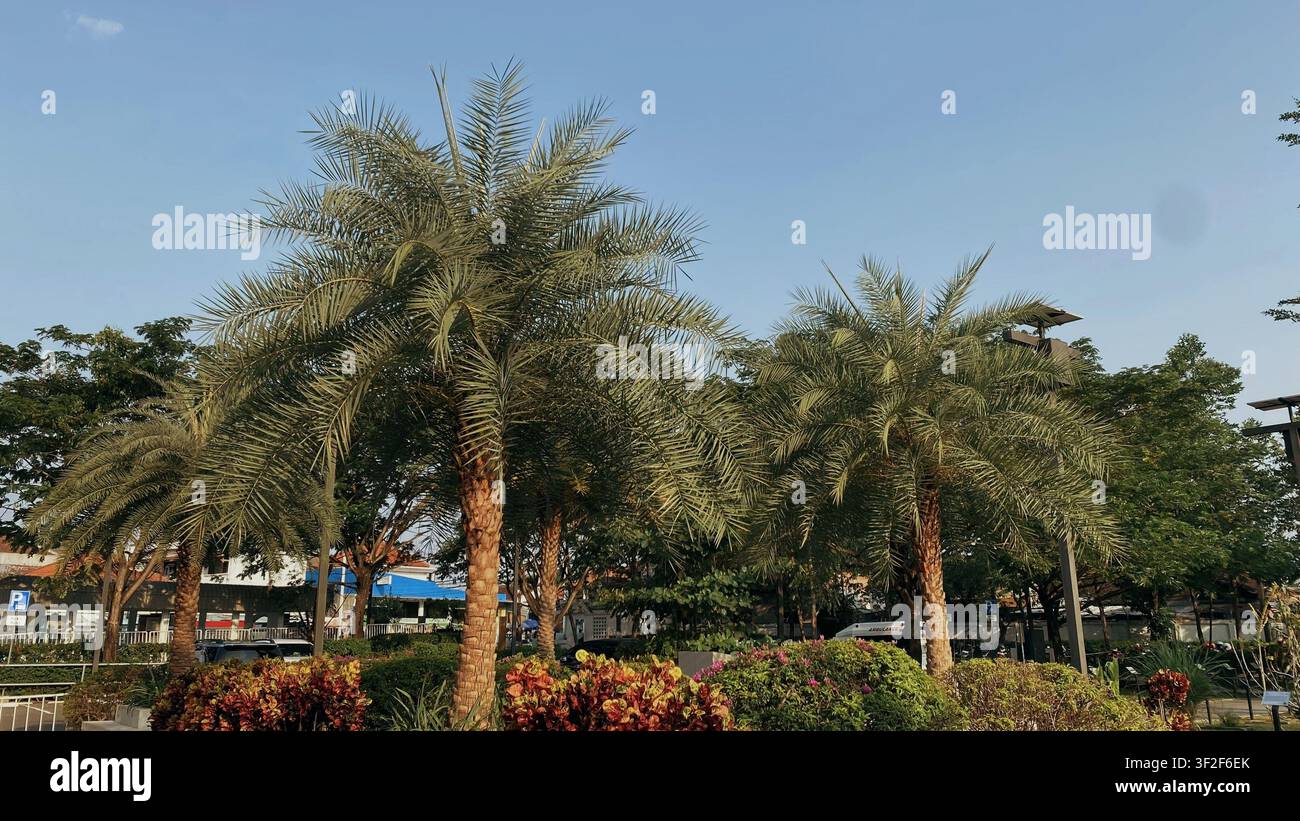 Scheich-Zayed-Moschee in Solo, Zentral-Java, Indonesien, zeigt eine prächtige islamische Architektur und kulturelles Erbe. - Smartphone-aufgenommenes Stockfoto