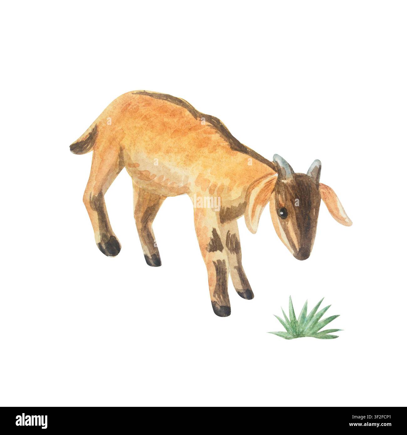 Aquarell niedliches braunes Baby-Nubienziegenkitz. Isoliertes handgezeichnetes Element für Illustration von Nutztieren für Cottagecore-Landhausdesign. Stockfoto