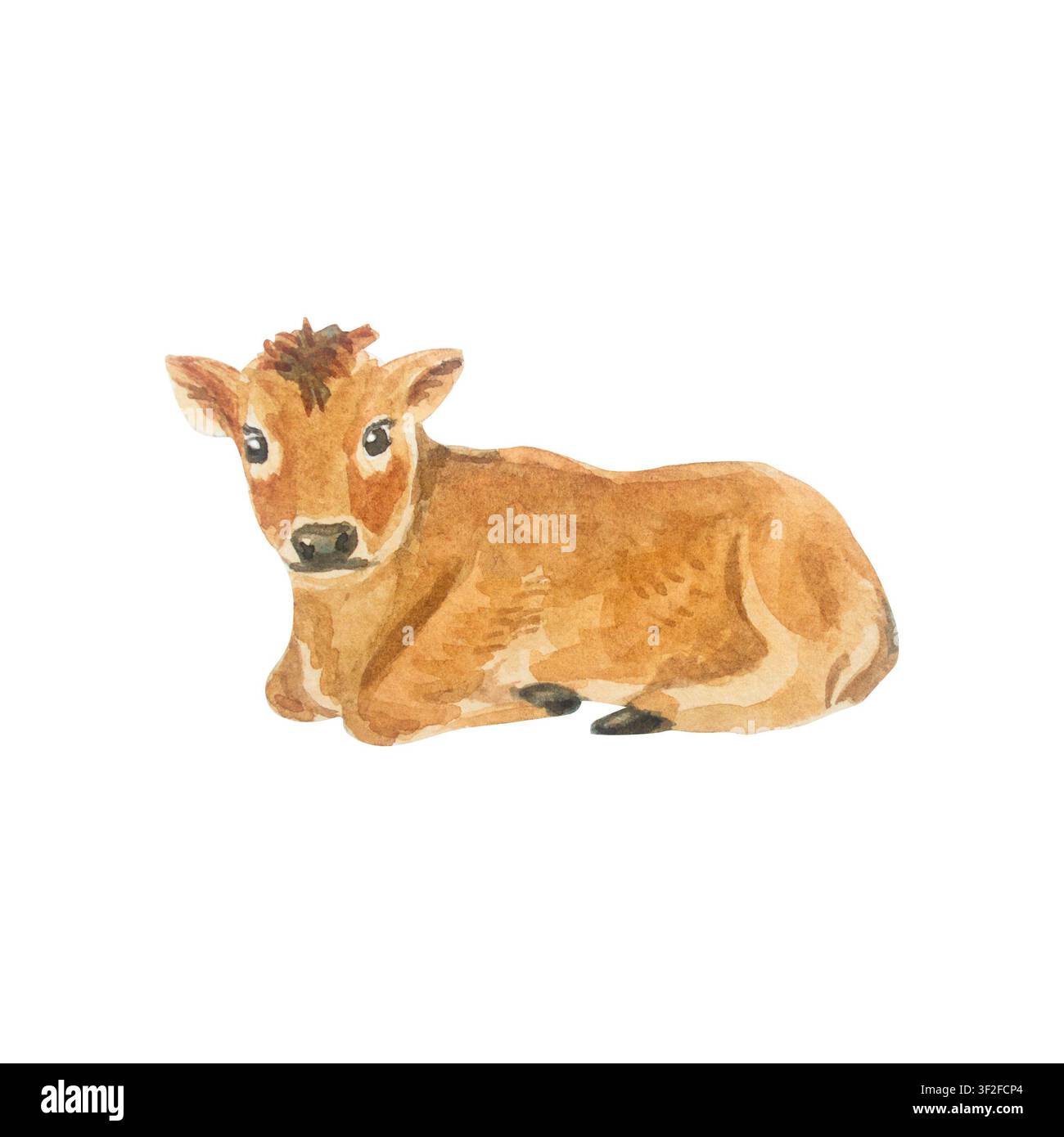 Aquarell niedliches braunes Baby-Jersey-Kalb liegt. Isoliertes handgezeichnetes Element für Illustration von Haustieren auf dem Bauernhof für Cottagecore-Landhaus-Design. Reali Stockfoto