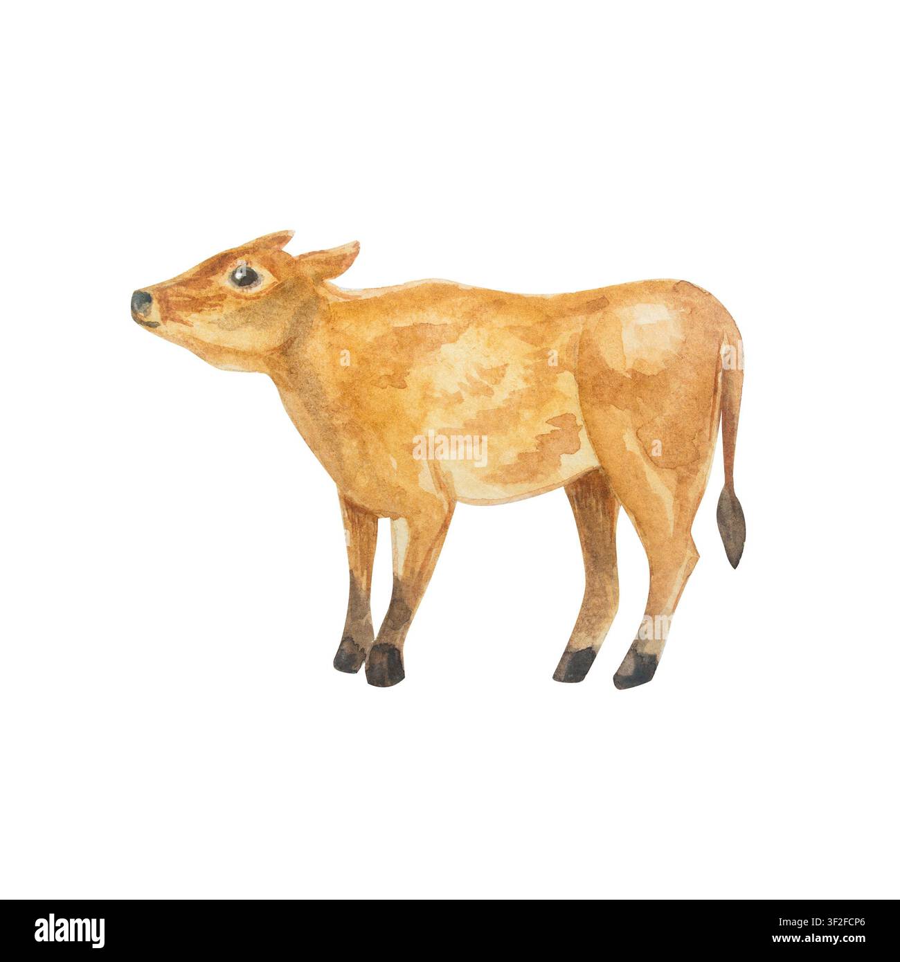 Aquarell niedliches braunes Baby-Nebenkuh stehend. Isoliertes handgezeichnetes Illustrationselement für ein Cottagecore-Landhausdesign. Realistisch Stockfoto