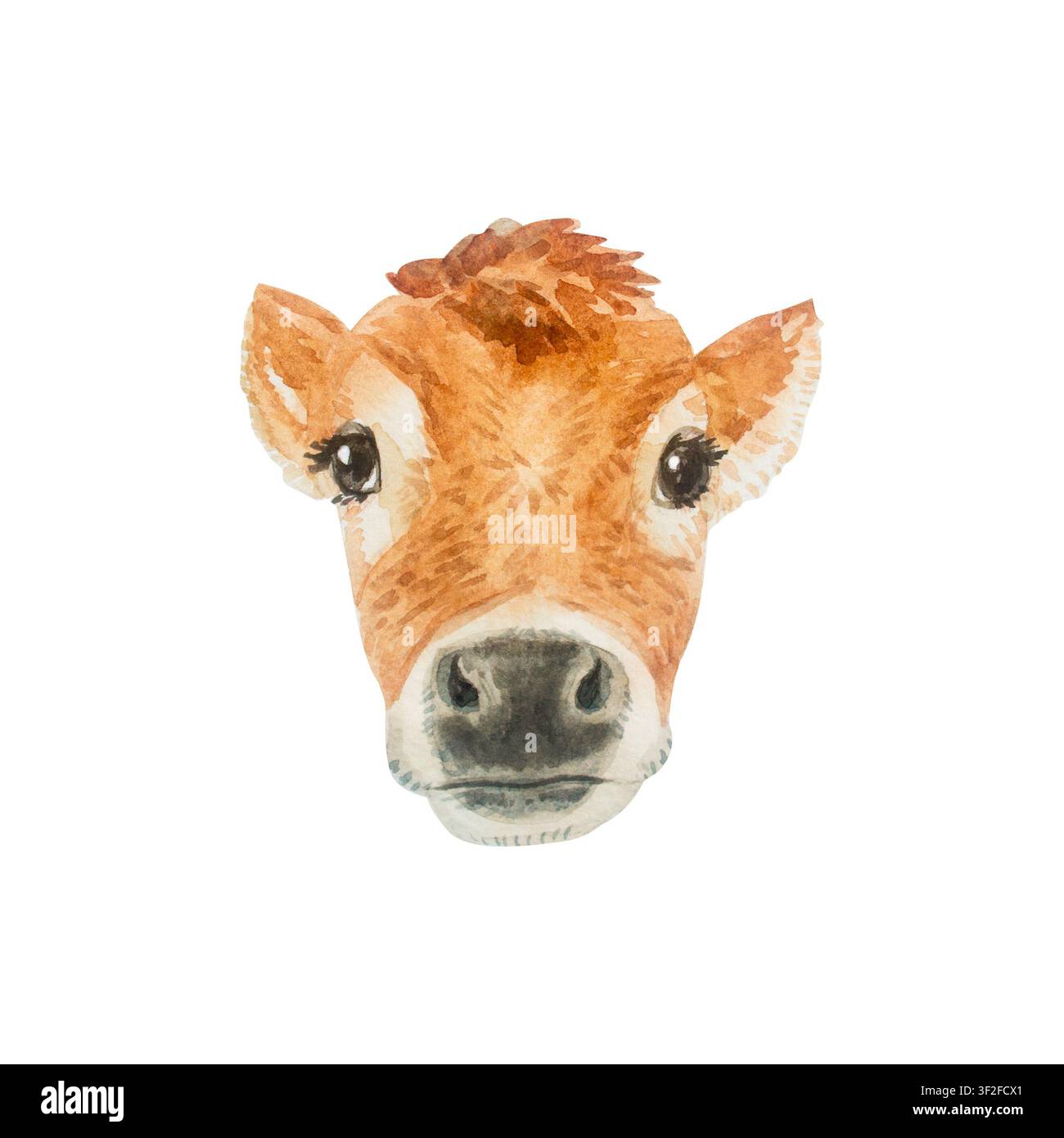 Aquarell niedliches braunes Baby-Jersey-Kalb-Kopfporträt. Isoliertes handgezeichnetes Illustrationselement für ein häusliches Nutztier im Cottagecore-Landhausdesign. Re Stockfoto