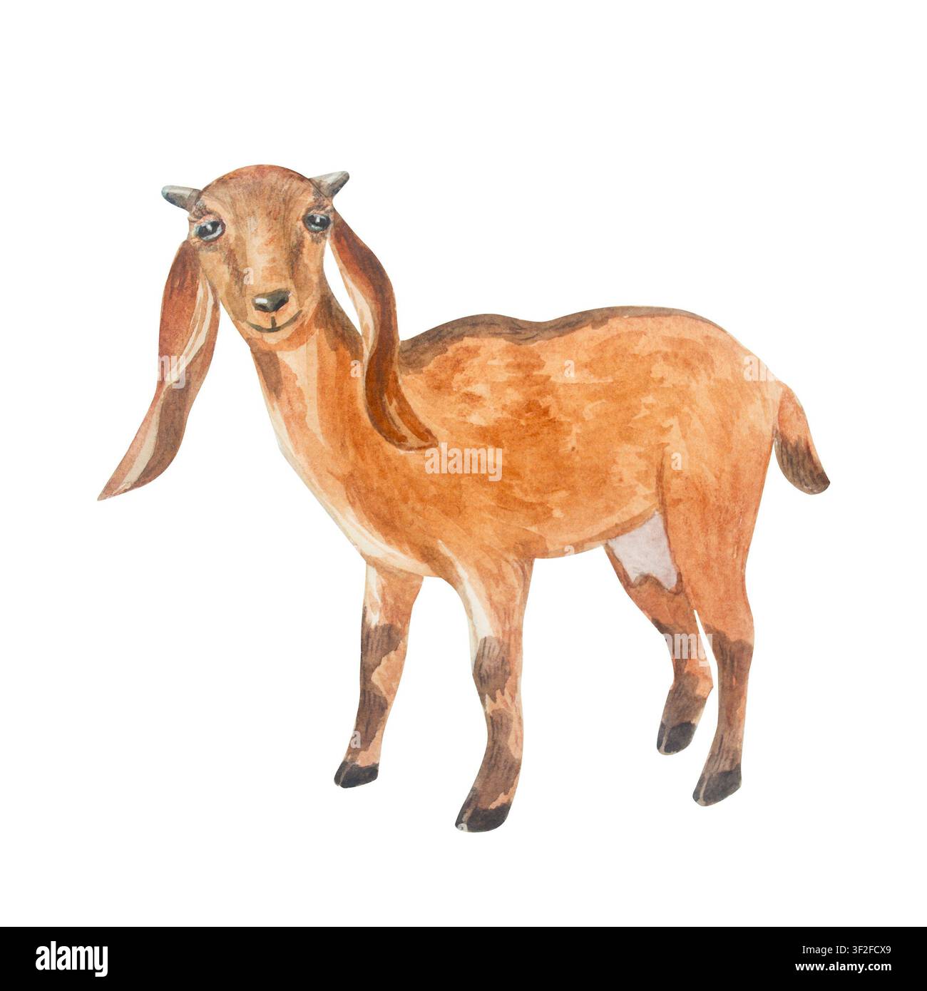 Aquarell rustikale braune nubische Zie stehend. Isoliertes handgezeichnetes Element für die Illustration von Hausmilchhof-Tieren für Cottagecore-Landschadsdesign. Real Stockfoto